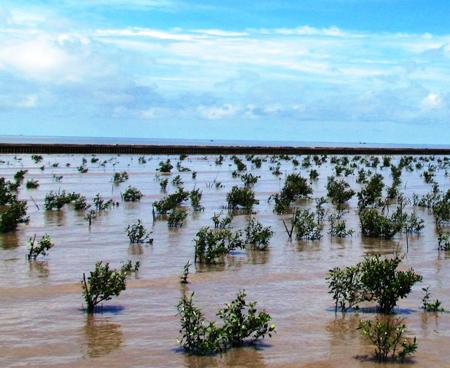 ເວທີປາໄສວິສາຫະກິດຮັບມືກັບການປ່ຽນແປງຂອງ ດິນຟ້າອາກາດ